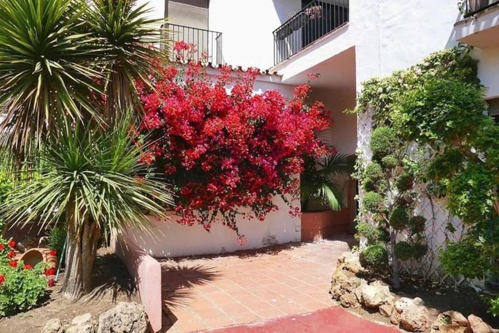 Caprichoso Apartamento En El Corazon De Puerto Banus Марбелья Экстерьер фото